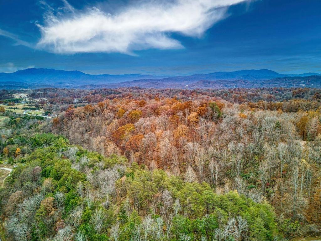 Bridgewood Cabin, Hot Tub, 1089 Of Free Attraction Tickets For Each Paid Day, Dollywood And More! Pigeon Forge Extérieur photo